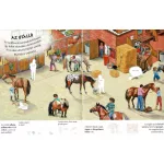 Milyen Érdekes A Világ Lovak