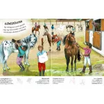 Milyen Érdekes A Világ Lovak