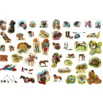 Milyen Érdekes A Világ Lovak