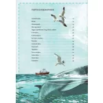 Varázslatos Útmutató A Bálnákhoz