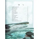 Varázslatos Útmutató A Bálnákhoz