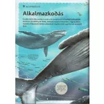 Varázslatos Útmutató A Bálnákhoz