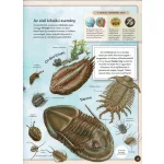 Varázslatos útmutató a kihalt állatokhoz