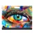Picasso Rajzlaptartó Mappa A/4 Eye