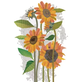 Editor Képeslap 11,5x17,4 cm Sentimento Napraforgó