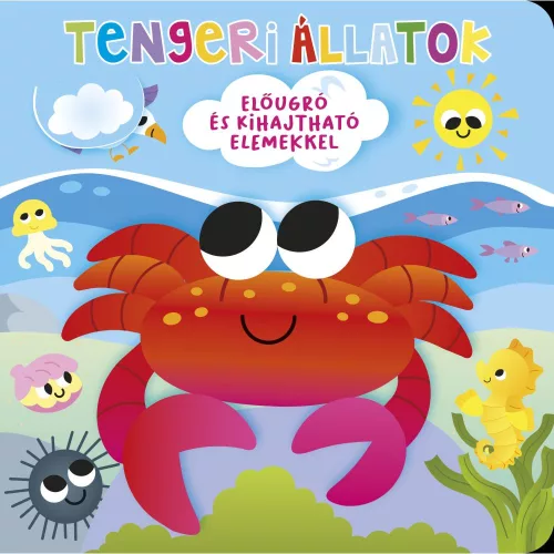 Ki Bújt El Tengeri Állatok Lapozókönyv A Legkisebbeknek Színes Illusztrációkkal Játékos Bújócskás Ismeretterjesztő Könyv A Tengeri Élővilág Felfedezéséhez