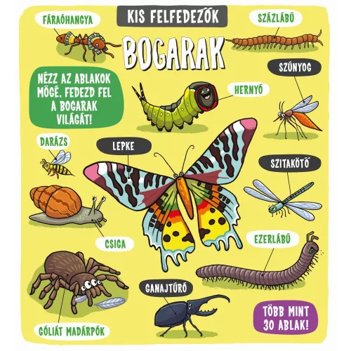 Kis felfedezők Bogarak