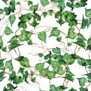   Ti-Flair Szalvéta 33x33 cm 3 Rétegű 20 Lap/Csomag Green Ivy Branches