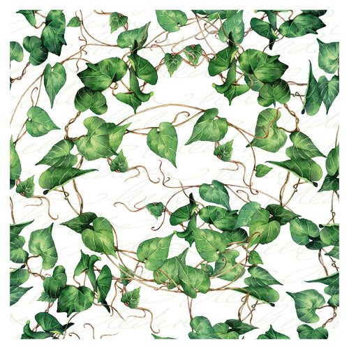 Ti-Flair Szalvéta 33x33 cm 3 Rétegű 20 Lap/Csomag Green Ivy Branches