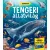 Dioráma Tengeri Állatvilág Interaktív Könyv Előre Kivágott Elemekkel 3D Tengerfenék Díszlet Ragasztás Nélkül Összeállítható Gyerekeknek Polcra És Íróasztalra
