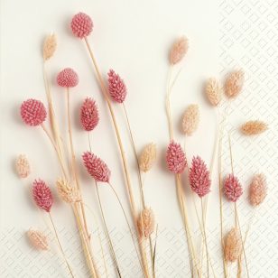 Stewo Szalvéta 33 x 33 cm 3 Rétegű 20 lap/csomag Sira 