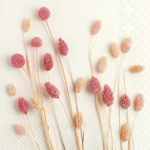 Stewo Szalvéta 33 x 33 cm 3 Rétegű 20 lap/csomag Sira 