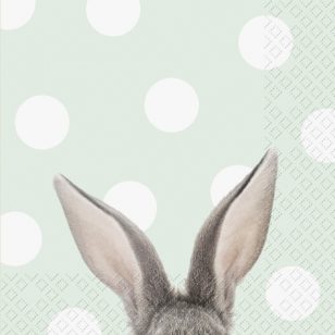 Stewo Szalvéta 33 x 33 cm 3 Rétegű 20 lap/csomag Yon 