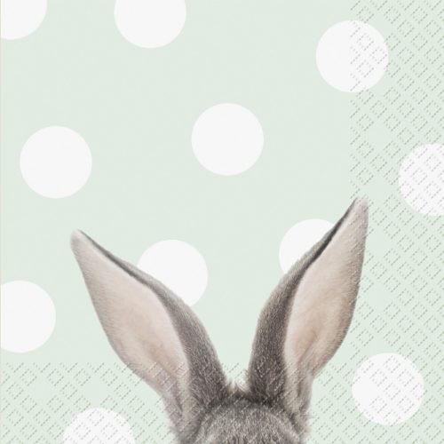 Stewo Szalvéta 33 x 33 cm 3 Rétegű 20 lap/csomag Yon 