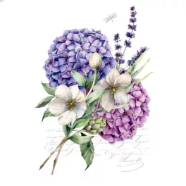   Ti-Flair Szalvéta 33x33 cm 3 Rétegű 20 Lap/Csomag Ramillete De Hortensias
