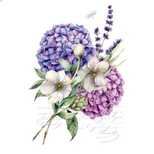   Ti-Flair Szalvéta 33x33 cm 3 Rétegű 20 Lap/Csomag Ramillete De Hortensias