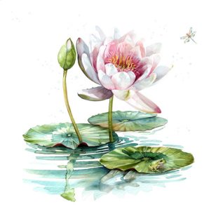   Ti-Flair Szalvéta 33x33 cm 3 Rétegű 20 Lap/Csomag Waterlily