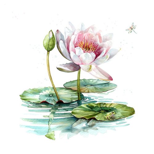 Ti-Flair Szalvéta 33x33 cm 3 Rétegű 20 Lap/Csomag Waterlily