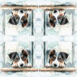 Ti-Flair Szalvéta 33x33 cm 3 Rétegű 20 Lap/Csomag Buddy