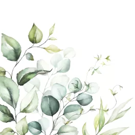   Ti-Flair Szalvéta 33x33 cm 3 Rétegű 20 Lap/Csomag Eucalyptus Branches