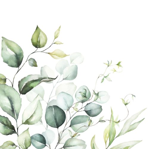 Ti-Flair Szalvéta 33x33 cm 3 Rétegű 20 Lap/Csomag Eucalyptus Branches