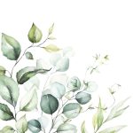 Ti-Flair Szalvéta 33x33 cm 3 Rétegű 20 Lap/Csomag Eucalyptus Branches