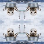 Ti-Flair Szalvéta 33x33 cm 3 Rétegű 20 Lap/Csomag Robbie