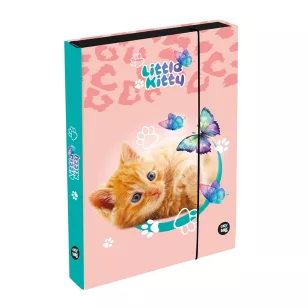 Füzetbox A/4 4,5 cm Cat