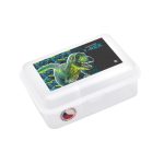 Uzsonnás Doboz Kivehető Betéttel Premium Dinosaurus