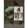   Fotóalbum 19x25 cm Ragasztott 200 Darab 10x15 cm-es Fotóhoz Zöld Növények