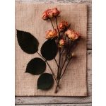 Fotóalbum 19x25 cm Könyvkötésű 200 Darab 10x15 cm-es Fotóhoz Rózsa