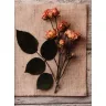   Fotóalbum 19x25 cm Könyvkötésű 200 Darab 10x15 cm-es Fotóhoz Rózsa