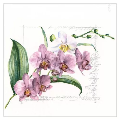 Ti-Flair Szalvéta 33 x 33 cm 3 Rétegű 20 Lap/Csomag Orchidée pink