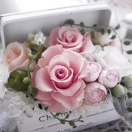   Ti-Flair Szalvéta 33 x 33 cm 3 Rétegű 20 Lap/Csomag Charming Box