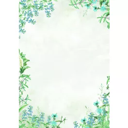   Papírgaléria Prémium Meghívó Papír A/4 100 gramm 50 Ív/Csomag Fiori Blue