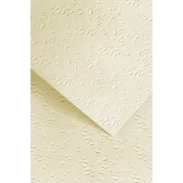   Papírgaléria Prémium Meghívó Papír A/4 220 gramm 20 Ív Nature Light Beige Lézer Nyomtatóhoz