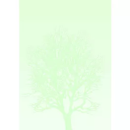   Papírgaléria Prémium Meghívó Papír A/4 100 gramm 50 Ív/Csomag Tree