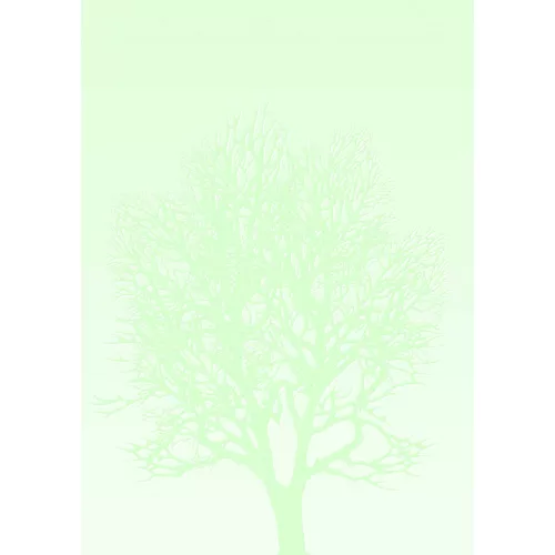 Papírgaléria Prémium Meghívó Papír A/4 100 gramm 50 Ív/Csomag Tree