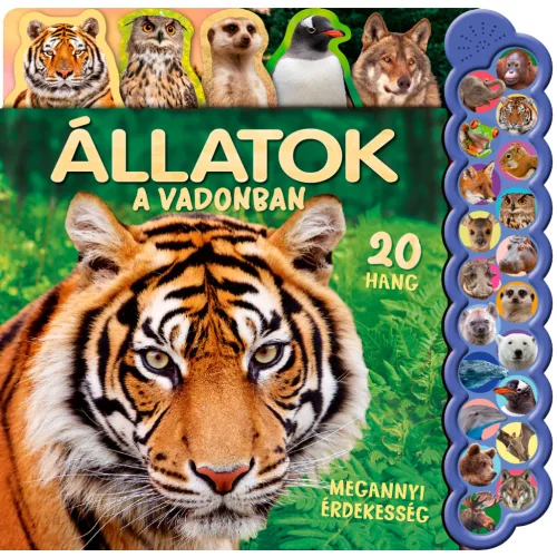 20 hang - Állatok a vadonban