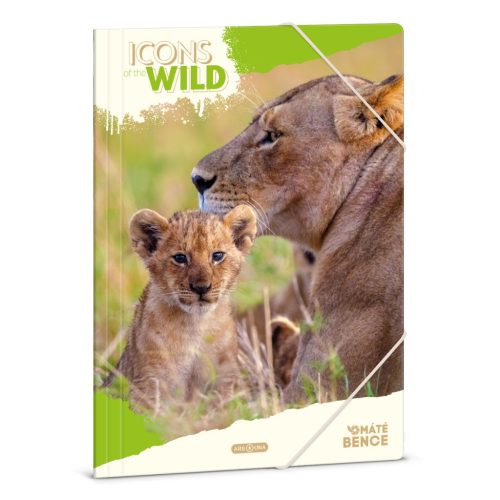 Ars Una Gumis Mappa A/4 Icons Of The Wild Lions (5504) 25