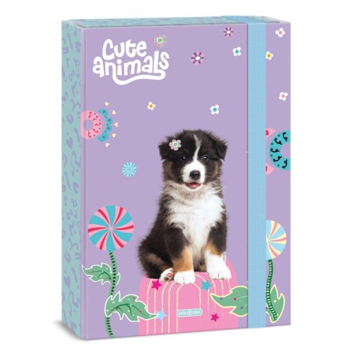Ars Una Füzetbox A/4 Cute Animals- Aussie (5528) 26
