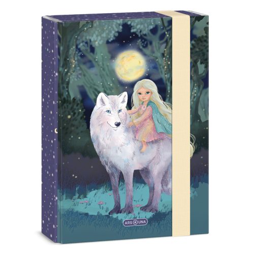 Ars Una Füzetbox A/5 Northern Lights (5527) 26