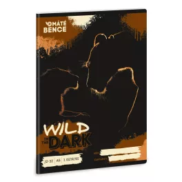 Ars Una Füzet III. Osztályos Wild In The Dark (5543) 26