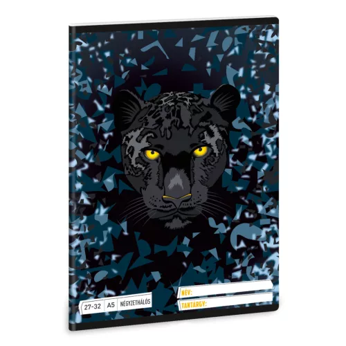Ars Una Füzet Négyzetrácsos A/5 Black Panther (5529) 26
