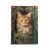 Argus Keményfedeles Notesz B/5 Vonalas 96 Lapos Zöld Gumival Cat