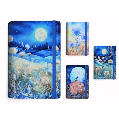 Gipta Beíró 13x21 cm 120 Lapos Keményfedeles Sima Blue Vegyes Minta