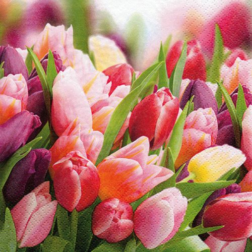 Ti-Flair Szalvéta 33X33 cm 3 Rétegű 20 lap/Csomag Pink & Violet Tulips 389143 Tavasz