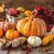 Ti-Flair Szalvéta 33 x 33 cm 3 Rétegű 20 Lap/Csomag Thanksgiving Still Life