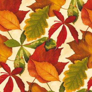   Ti-Flair Szalvéta 33x33 cm 3 Rétegű 20 lap/Csomag Foliage Ivory 342052 Ősz