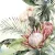 Ti-Flair Szalvéta 33 x 33 cm 3 Rétegű 20 Lap/Csomag Protea and Orchids